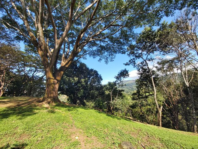SE VENDE LOTE EN SAN MATEO CALLE LA LIBERTAD in Desmonte, San Mateo, Alajuela — ₡ 87 000 000 - Photo 3 of 24