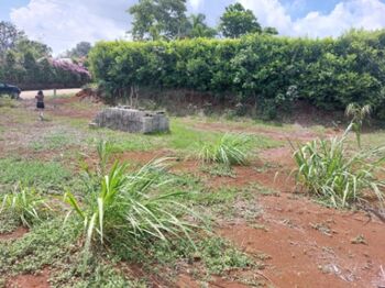 SE VENDE PRECIOSO LOTE EN SAN RAMÓN.  en San Isidro, San Ramón, Alajuela — 45 000 000 ₡ - Foto 5 de 5