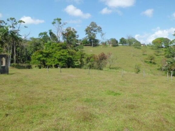 Terreno Santa Isabel Rio Cuarto en Santa Isabel, Río Cuarto, Alajuela — ₡ 50 000