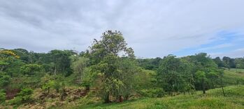 Venta de Lote en Sarapiquí, Heredia. RAH 25-1699 in La Virgen, Sarapiquí, Heredia — 160 000 000 ₡ - Photo 4 of 10