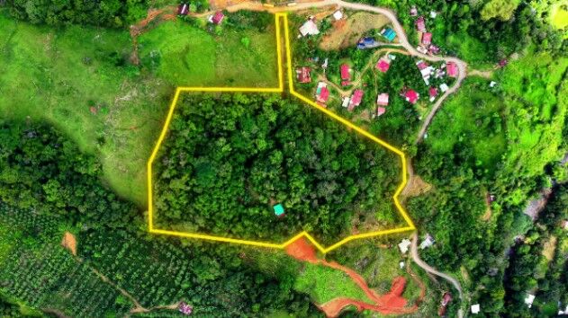 SE VENDE PARASIO PRIVADO CON MAS DE 4 HECTAREAS DE BOSQUE PRIMARIO en Río Nuevo, Pérez Zeledón, San José — ₡ 99 999 000