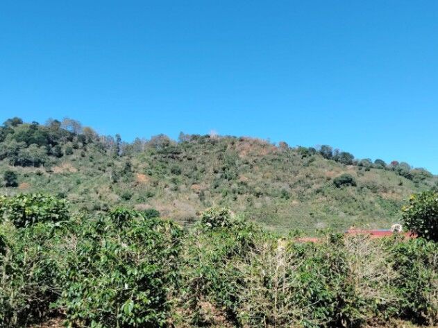 Venta lote en Santa María de Dota in Santa María, Dota, San José — ₡ 44 000 000