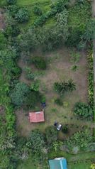 Quinta en Venta en Las Palmas de La Tigra, SanCarlos in La Tigra, San Carlos, Alajuela — 56 000 000 ₡ - Photo 4 of 10