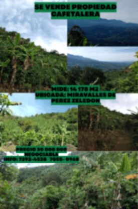 FINCA CAFETALERA en San Isidro De El General, Pérez Zeledón, San José — ₡ 30 000 000