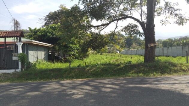 ¡Gran Oportunidad! Lote en Ojo de Agua, Osa, Puntarenas en Puerto Cortés, Osa, Puntarenas — ₡ 29 500 000