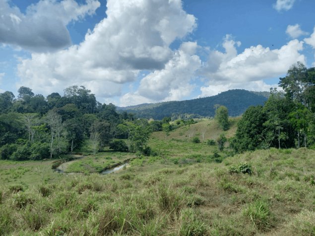 Doble Casa y Finca en Puerto Jiménez de Puntarenas in Puerto Jiménez, Golfito, Puntarenas — ₡ 250 000 000