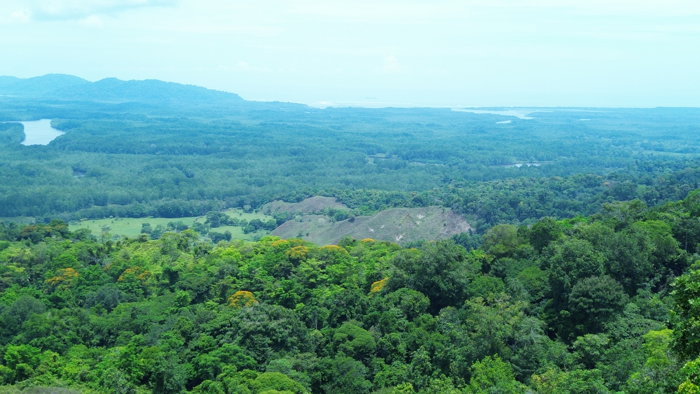 Finca de 107 Hectáreas en Sierpe, Osa en Sierpe, Osa, Puntarenas — ₡ 482 800 000