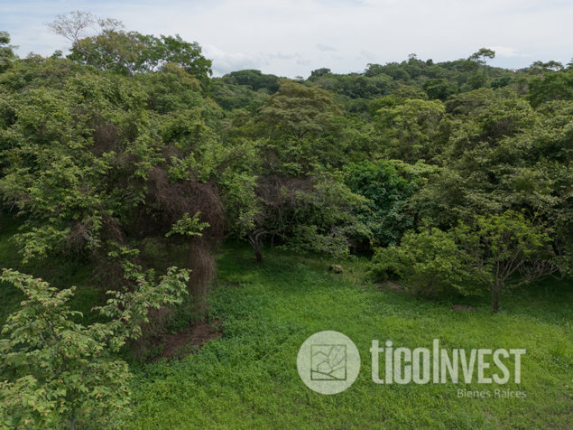 Lote en venta Guacalillo, Puntarenas **2335 in Tárcoles, Garabito, Puntarenas — ₡ 60 000 000 - Photo 2 of 4
