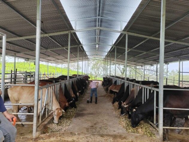 Hermosa finca ganadera de 15ha en Guatuso de Alajuela. in San Rafael, Guatuso, Alajuela — ₡ 200 000 000
