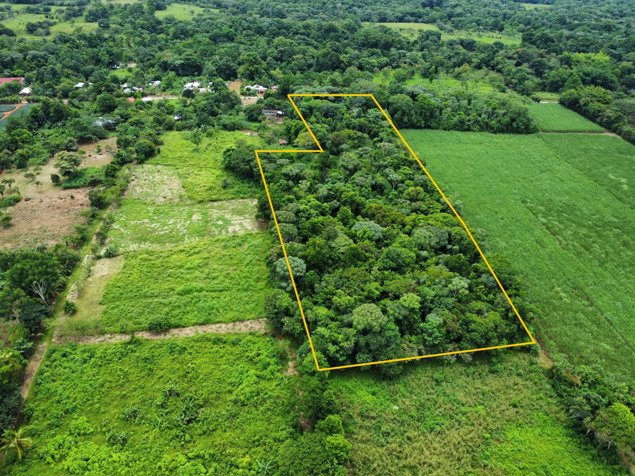 TERRENO EN VENTA CON JUNGLA NATIVA Y ACCESO DIRECTO in Volcán, Buenos Aires, Puntarenas — ₡ 60 000 000