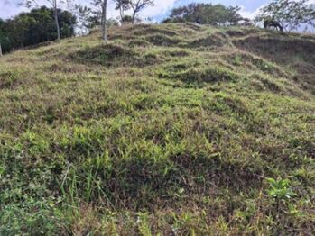 Venta de Lote en Turrialba-Cartago. RAH 26-1276 en La Suiza, Turrialba, Cartago — 27 000 000 ₡ - Foto 4 de 6