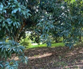 LOTE EN VENTA, SAN MATEO ALAJUELA, COD#26-1282 in Jesús María, San Mateo, Alajuela — $57,000,000 - Photo 5 of 9