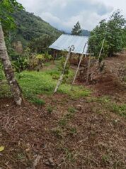  terreno  con 2 terrazas, son 1740 metros  en Tayutic, Turrialba, Cartago — 14 000 000 ₡ - Foto 5 de 13