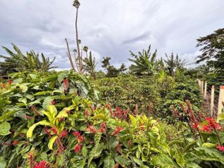 Venta de LOTE disponible para DESARROLLADORES en Santo Domingo-Santo Tomás. RAH 27-776 en Santo Domingo, Santa Bárbara, Heredia — $850,000 - Foto 3 de 11