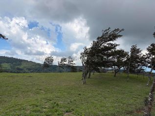 Venta de Lote en San Ramón-Zapotal, Alajuela. RAH 26-2180 en Piedades Sur, San Ramón, Alajuela — 22 000 000 ₡ - Foto 5 de 16