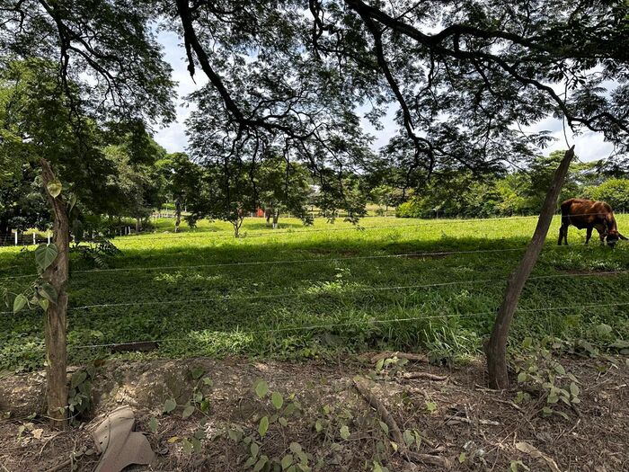 VENTA DE LOTE, ALAJUELA, ALAJUELA, TURRUCARES en Turrúcares, Alajuela — $325,000