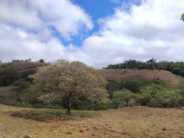 Venta de Lote en San Ramón-Piedades Sur. RAH 26-1770 en Piedades Sur, San Ramón, Alajuela — ₡ 550 000 000