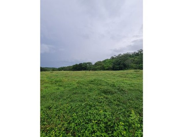 Finca para agroindustria en Bagaces 623 Hectareas en Bagaces, Guanacaste — $3,738,000 - Foto 2 de 8