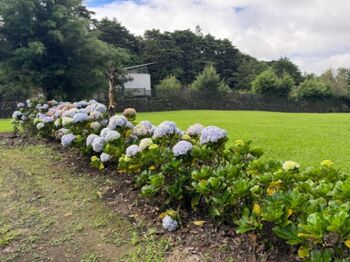 Se vende lote de 3,881m2 en San Rafael de Heredia 25-1029 en Ángeles, San Rafael, Heredia — $253,000 - Foto 5 de 14