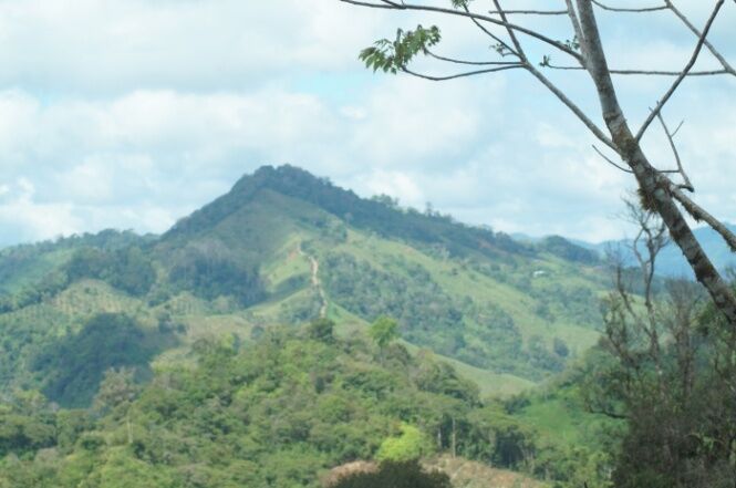 Finca en Sinai de Osa, Puntarenas en Piedras Blancas, Osa, Puntarenas — ₡ 370 000 000