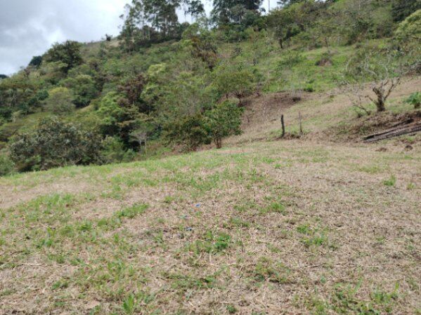 Venta Quinta San Carlos de El Guarco in San Isidro, León Cortés Castro, San José — ₡ 41 000 000