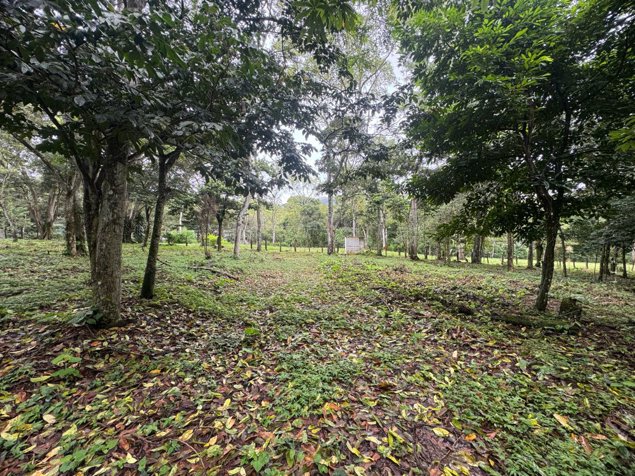 Venta de terreno en Los Bajos Atenas. en Atenas, Alajuela — ₡ 64 000 000 - Foto 2 de 22