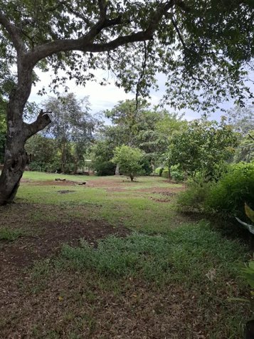 Oportunidad de venta terreno en Artieda de Esparza, Puntarenas en Espíritu Santo, Esparza, Puntarenas — ₡ 44 000 000 - Foto 2 de 8