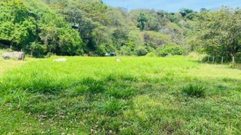 Venta de hermoso terreno de 7,000 M2 en Atenas Alajuela 25-1310 en Concepción, Atenas, Alajuela — 70 000 000 ₡ - Foto 5 de 8