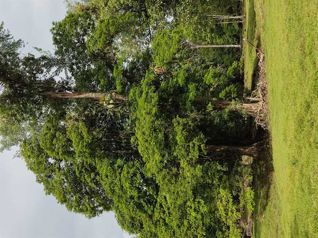 Vendo Finca Ganadera, Heredia, Sarapiquí. 5PVV9294333 in Las Horquetas, Sarapiquí, Heredia — $1,500,000 - Photo 5 of 21