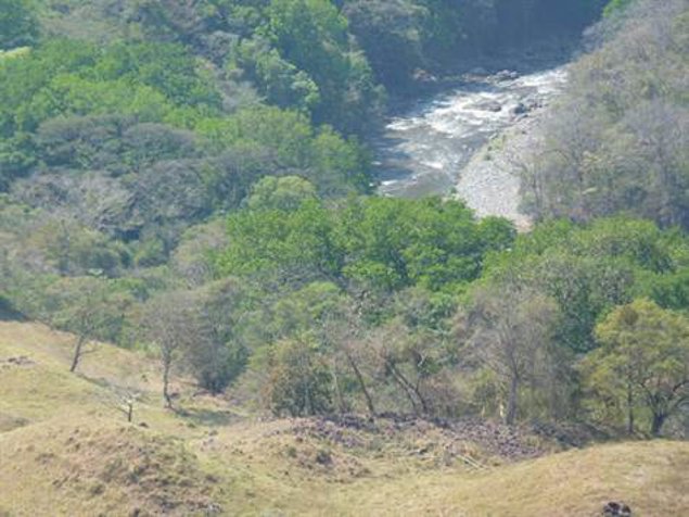 Propiedad de aproximadamente 39 hectareas en Atenas, Alajuela — $1,500,000