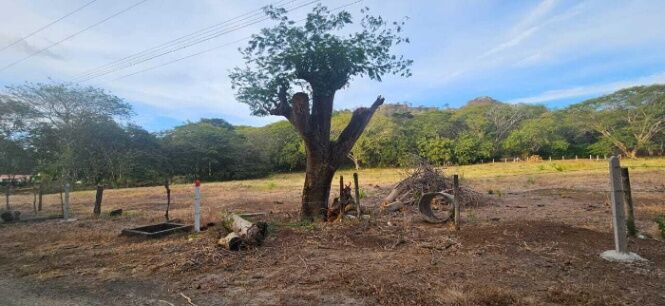 Venta de Lote en Carrillo-Sardinal, Guanacaste. RAH 26-1330  en Sardinal, Carrillo, Guanacaste — $670,225