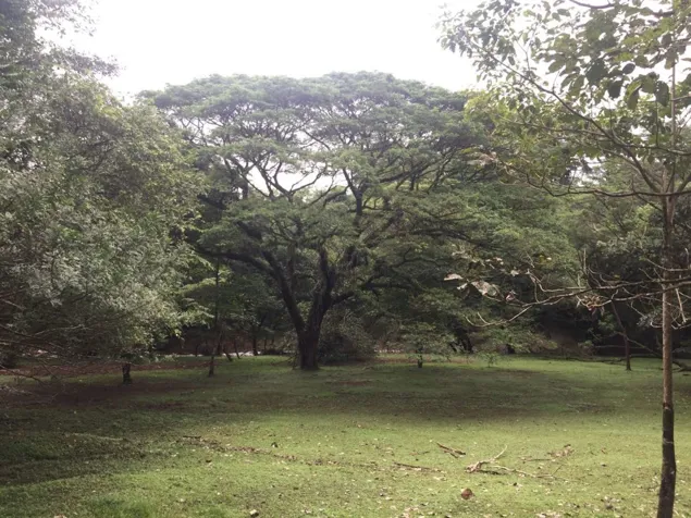 Venta de propiedad en Orotina- Uso mixto-Alta cobertura in Orotina, Alajuela — $600,000 - Photo 3 of 14