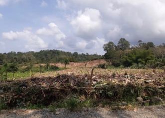 VENTA DE FINCA, LIMÓN, MOIN, LOMA LINDA en Guápiles, Pococí, Limón — $500,000 - Foto 2 de 5