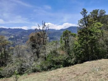 SE VENDE ESPECTACULAR FINCA EN EL GUARCO DE CARTAGO.  in San Isidro, El Guarco, Cartago — 140 000 000 ₡ - Photo 4 of 7