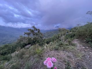 Finca en Venta en Copey de Dota 12.9 hectareas en Santa María, Dota, San José — $2,000,000 - Foto 2 de 11