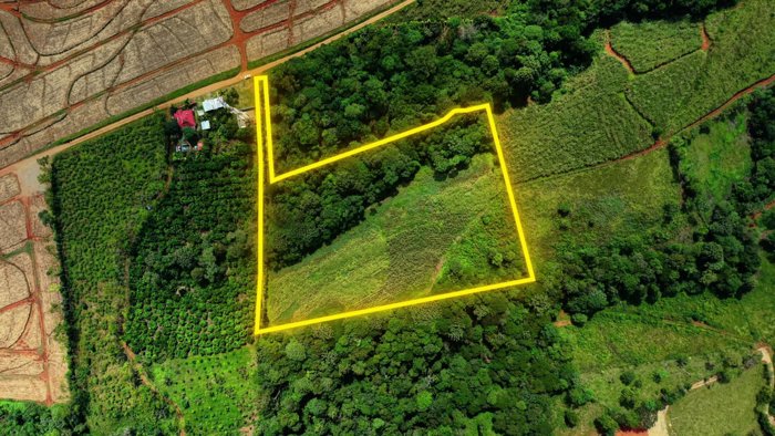 SE VENDE FINCA CON TOPOGRAFIA PLANA Y POTENCIAL AGRICOLA EN PEREZ ZELEDON en San Pedro, Pérez Zeledón, San José — ₡ 28 000 000 - Foto 1 de 12
