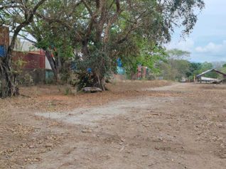Terreno de 14 hectáreas en la Ceiba de Orotina en La Ceiba, Orotina, Alajuela — 1 410 000 000 ₡ - Foto 5 de 24