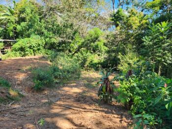 Lote para Desarrollo sobre la Carretera Interamericana a Solo 5 Minutos del Centro en San Isidro De El General, Pérez Zeledón, San José — $230,000 - Foto 4 de 14