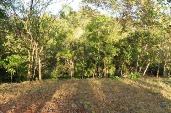 Venta de Lote con Riachuelo en Hojancha-Puerto Carrillo, Guanacaste. RAH 26-994 en Puerto Carrillo, Hojancha, Guanacaste — ₡ 60 000 000