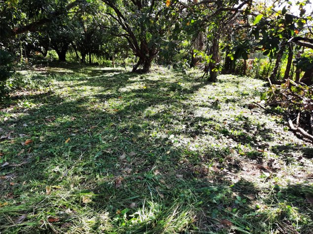 VENTA DE TERRENO 1000 M², SAN MATEO, ALAJUELA en Labrador, San Mateo, Alajuela — $55,000