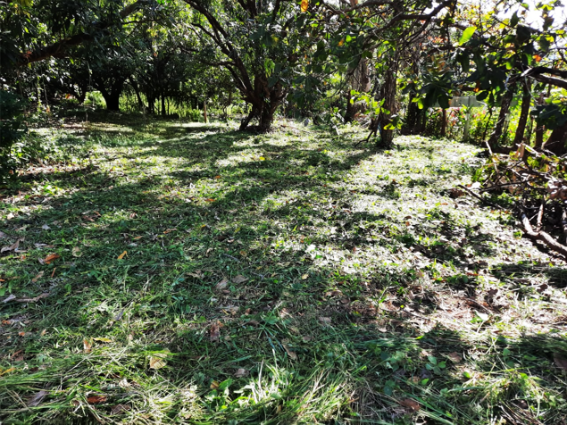 VENTA DE TERRENO 1000 M², SAN MATEO, ALAJUELA en Labrador, San Mateo, Alajuela — $55,000