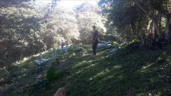 BELLOLOTE EN DERECHO EN PATARRA, DESAMPARADOS.