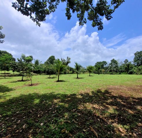 Beautiful property en Peñas Blancas, San Ramón, Alajuela — $128,000