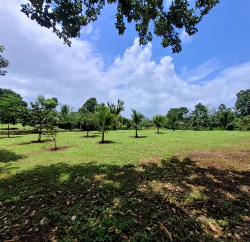 Beautiful property en Peñas Blancas, San Ramón, Alajuela — $128,000
