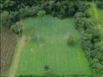 Se Venden Lotes con Vista al Volcan Arenal en La Fortuna in La Fortuna, San Carlos, Alajuela — ₡ 35 000 000