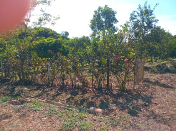 Las brisas in Cajón, Pérez Zeledón, San José — ₡ 13 000 000