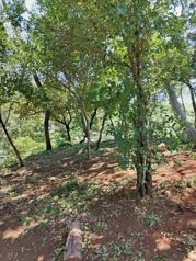 Lote de 2.000 m² en venta en Cañafístula, Tamarindo en Tamarindo, Santa Cruz, Guanacaste — 40 000 000 ₡ - Foto 4 de 9