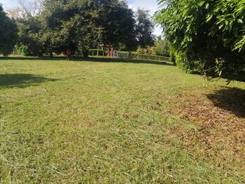 VENTA DE LOTE, USO MIXTO Y ALTA DENSIDAD, ALAJUELA, OROTINA, LA CEIBA en La Ceiba, Orotina, Alajuela — 120 000 000 ₡ - Foto 2 de 15