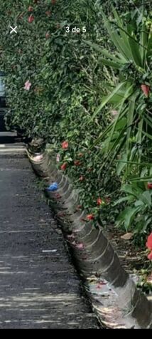 VENDO TERRENO INDUSTRIAL EN DESAMPARADOS, SAN JOSÉ.  en San Rafael Arriba, Desamparados, San José — ₡ 55 000 000