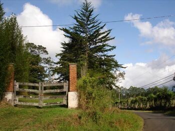 Finca en Venta Paraíso, Paraíso, Cartago